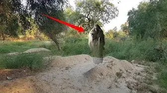 Video thumbnail for jinnat ki Basti jinnat ka Qabristan with Rao Shamas Ali #Ep537