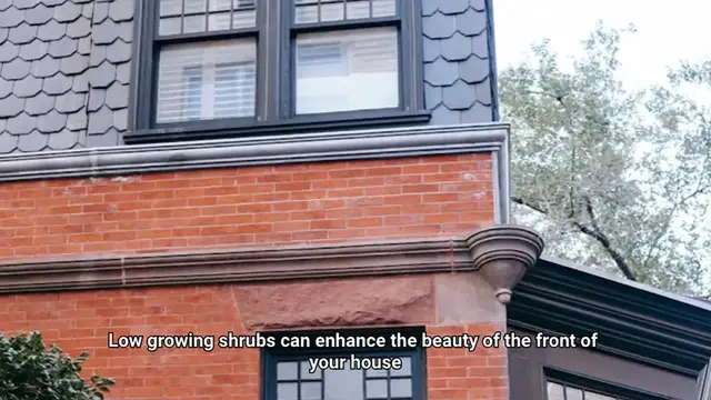 Video thumbnail for Low Growing Shrubs for Front of House