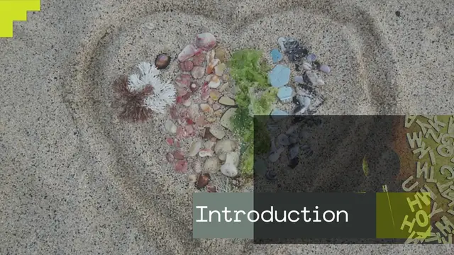 Video thumbnail for Step into Style: The Ultimate Guide to Finding the Perfect Sandals