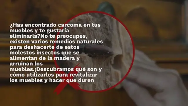 Video thumbnail for Carcoma en muebles, deshazte de ellas inmediatamente con este remedio natural
