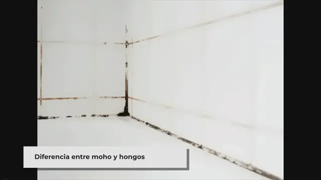 Video thumbnail for ▷ ¿Cómo deshacerse del moho en el baño? (15 formas)