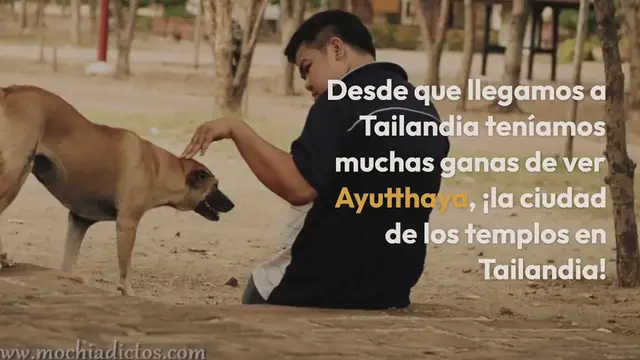 Video thumbnail for Que ver en Ayutthaya, templos, ruinas y perros callejeros. Día 5,6 y 7: