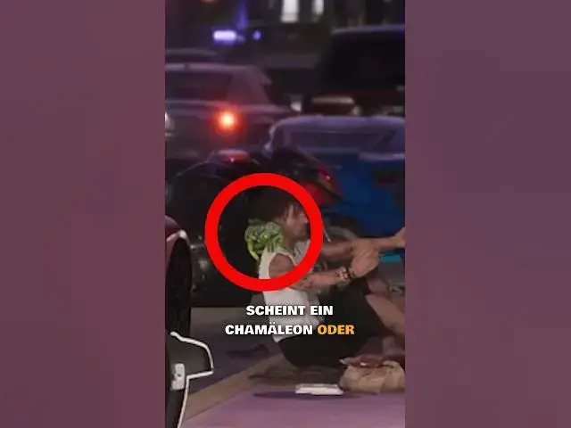 Video thumbnail for 3 KRASSE SECRETS IN ROCKSTAR-SPIELEN