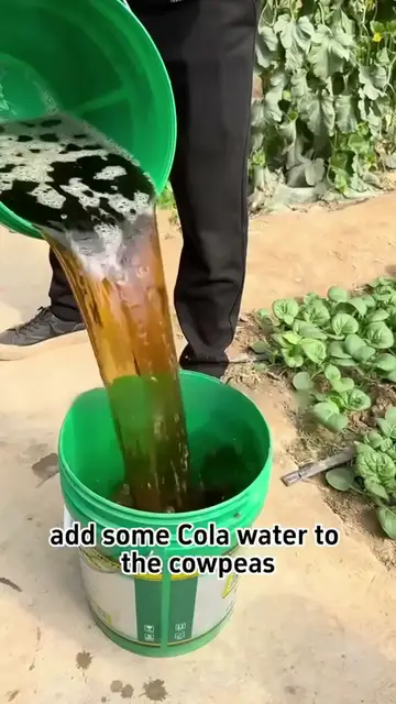 'Video thumbnail for Gardens tips'