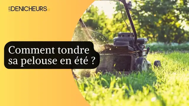 Video thumbnail for 🏡Tondre la pelouse en été : Comment s'y prendre ? 🌿 🌱