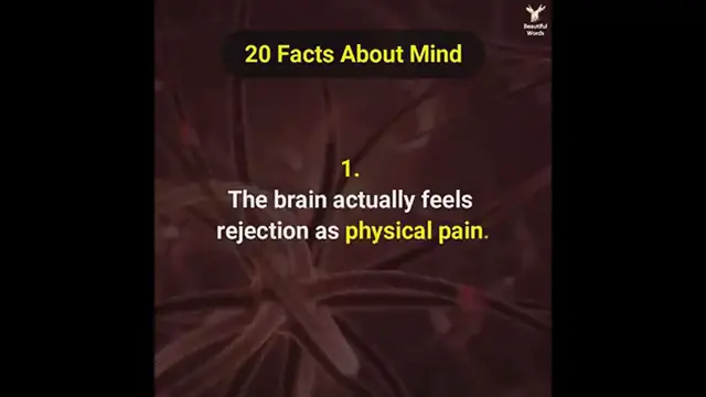 Video thumbnail for 20 fact about mind
