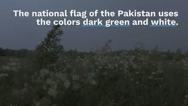 Video thumbnail for Pakistan Flag Colors | HEX, RGB & HSL