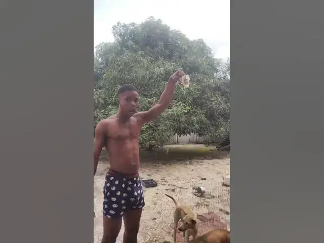 'Video thumbnail for see how my dog reacted'