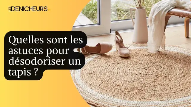 Video thumbnail for 🫧💯​ Comment désodoriser un tapis ou une moquette ? ​🧽​