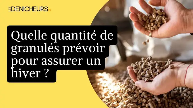 Video thumbnail for 🔥 Quelle quantité de granulés prévoir pour assurer un hiver ? ❄️