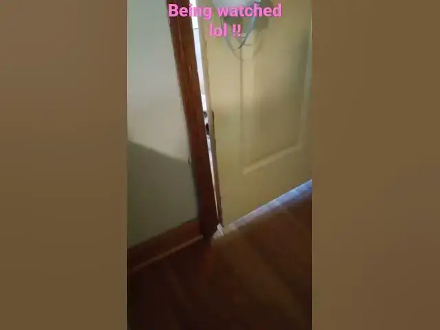 Video thumbnail for spied on to funny!