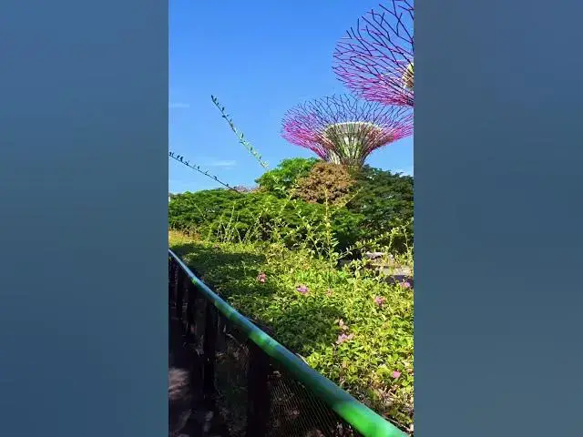 Video thumbnail for Somewhere in Singapore