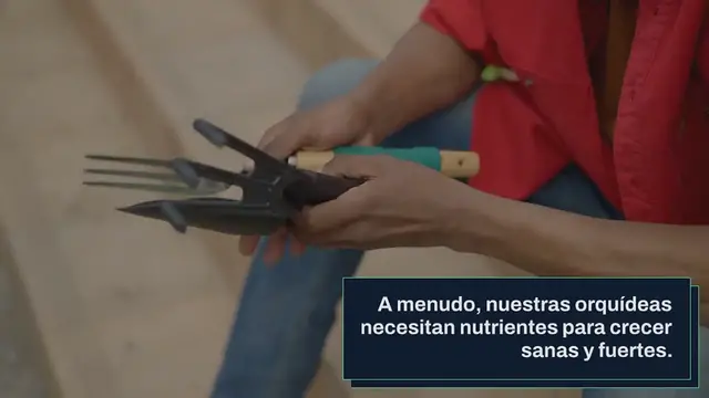 Video thumbnail for Cómo hacer abono para orquídeas en casa