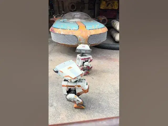 Video thumbnail for We love the BDX Droids!