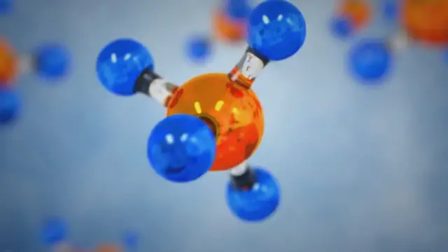 Video thumbnail for Benefits of Choosing Superior Seeds