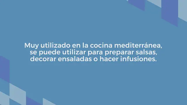 Video thumbnail for Aquí se explica cómo cultivar albahaca en casa y mantenerla el mayor tiempo posible.