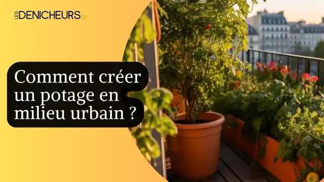 Video thumbnail for Comment créer un potager en milieu urbain ?