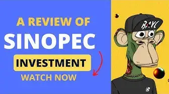 Video thumbnail for A review of Sinopec Investment Platform (Watch before investing) #sinopec #hyip #hyipsdaily