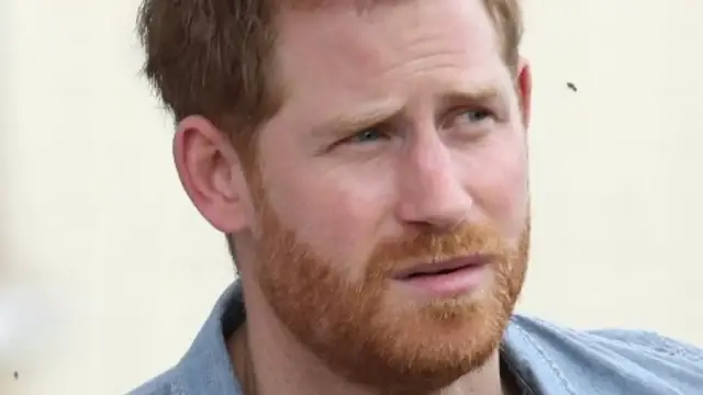 'Video thumbnail for This Is Why Prince Harry Got Many Warnings About Meghan Markle'