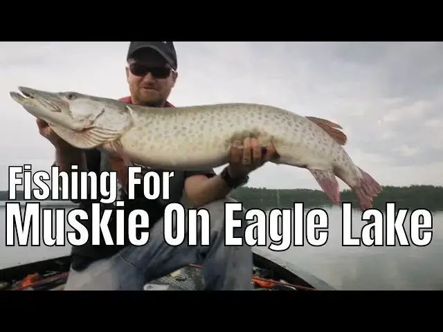 Video thumbnail for Eagle Lake Muskie Marathon: Hard Work Pays Off |  Fish'n Canada