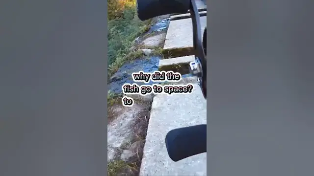 Video thumbnail for Fishing Joke 29 #jokes #fishingjokes #humor