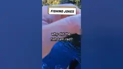 Video thumbnail for Fishing Joke 13 #jokes #fishingjokes #humor