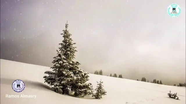 Video thumbnail for تريد المغفرة والزرق أسمع وتدبر