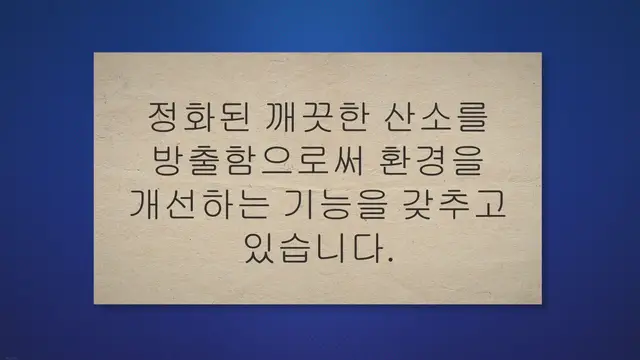'Video thumbnail for 공기청정 화분 17가지로 건강한 실내 환경 조성하기'