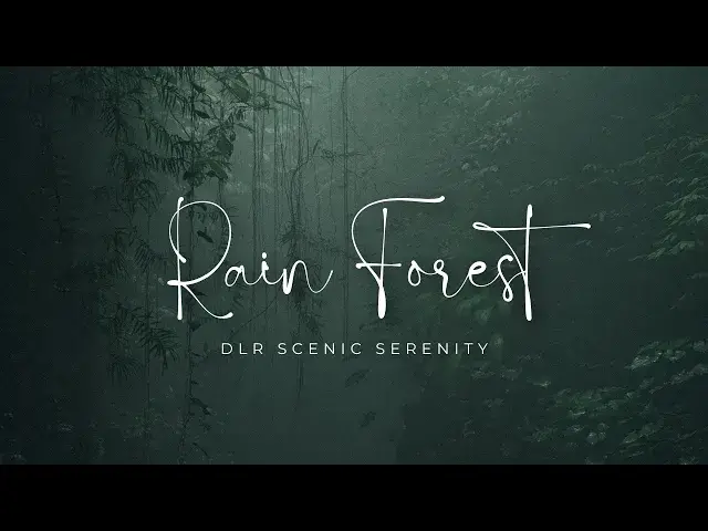 'Video thumbnail for rain rain go away || rain sounds for sleeping || rain || rainbow kiss ||  rainforest'