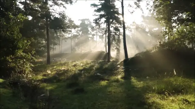 Video thumbnail for 1Hour Meditation Music for Relaxing// Stress relief//Relaxation from Negative Feelings - Relax Mind