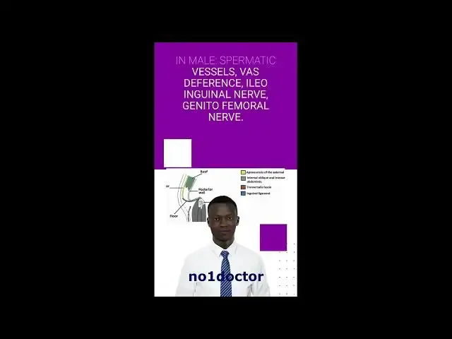 Video thumbnail for Contents of inguinal canal #shorts #hernia #inguinal #surgery #dotcor #laparoscopysurgery #anatomy