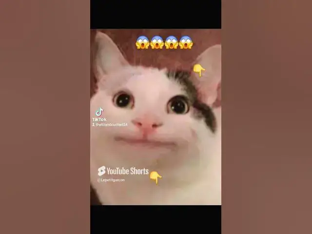 Video thumbnail for #humour #questcequejedevraischoisir #football #animation