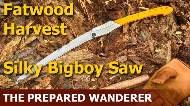 Video thumbnail for Fatwood Harvest with Silky Big Boy Saw
