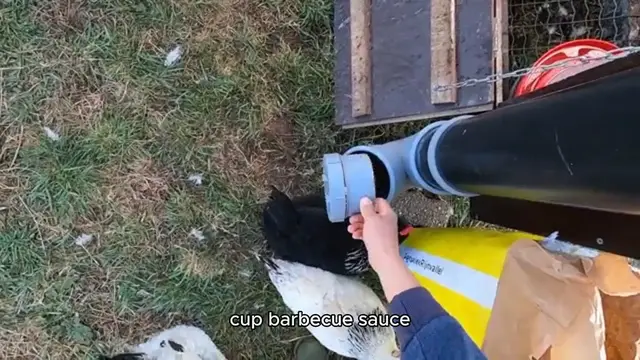 Video thumbnail for Canned Chicken Recipe