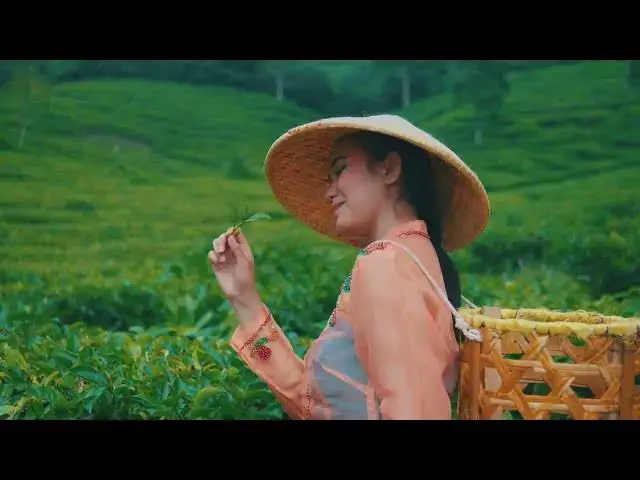 Video thumbnail for Unveiling the Mysteries of Chinese Tea Culture