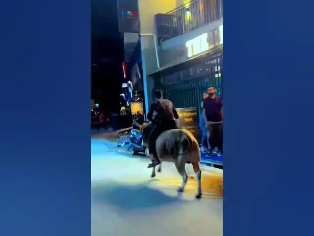 Video thumbnail for Ox Riding First Time In India #viral #viralvideo  #shorts