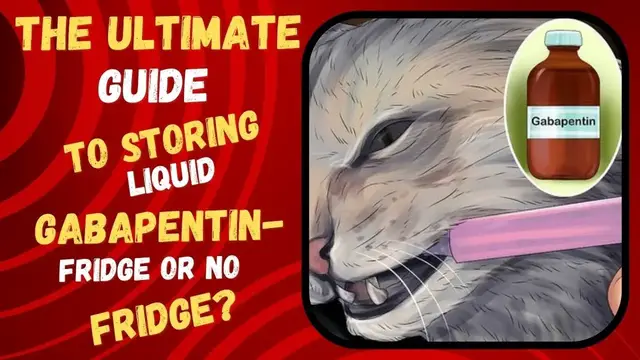 'Video thumbnail for The Ultimate Guide to Storing Liquid Gabapentin - Fridge or No Fridge?'