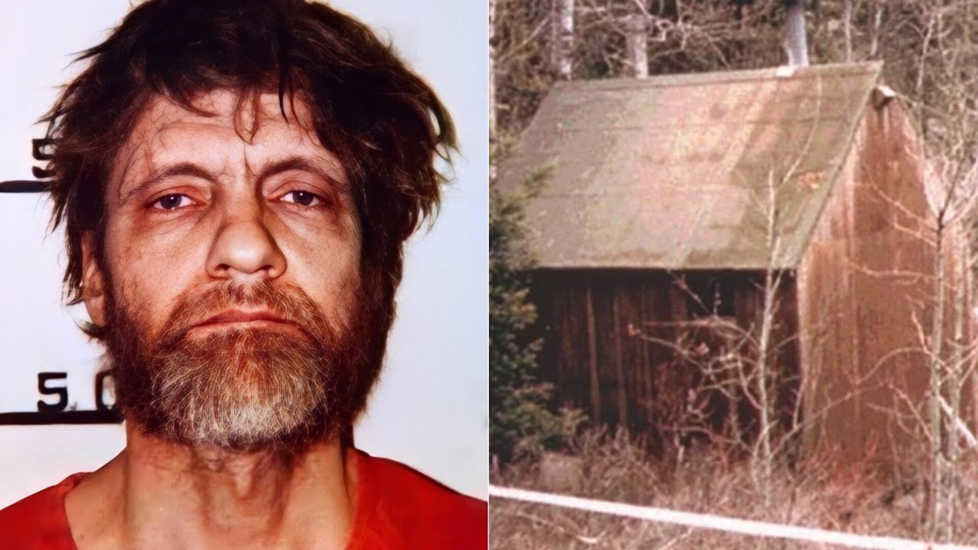 Video thumbnail for What Happened To The Unabomber's Cabin?