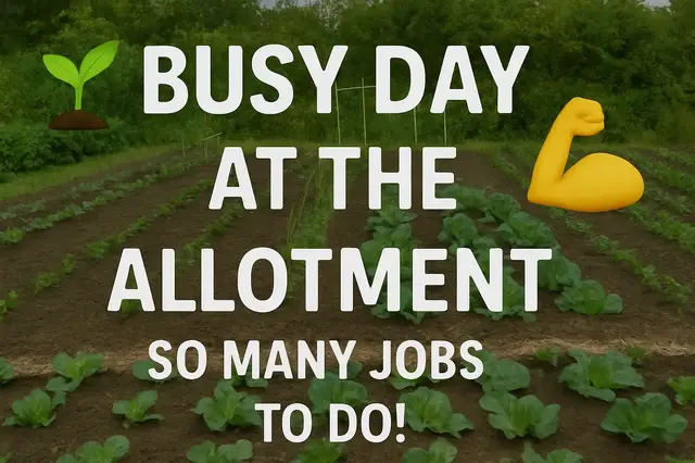 'Video thumbnail for 🌱💪 Busy Day at the Allotment | So Many Jobs to Do!'