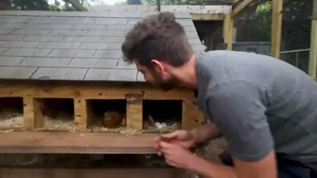 'Video thumbnail for Testing the internets most viral Egg recipes (720p 30fps)'