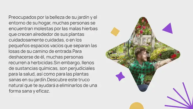 Video thumbnail for Aquí le mostramos cómo eliminar las malas hierbas de su jardín