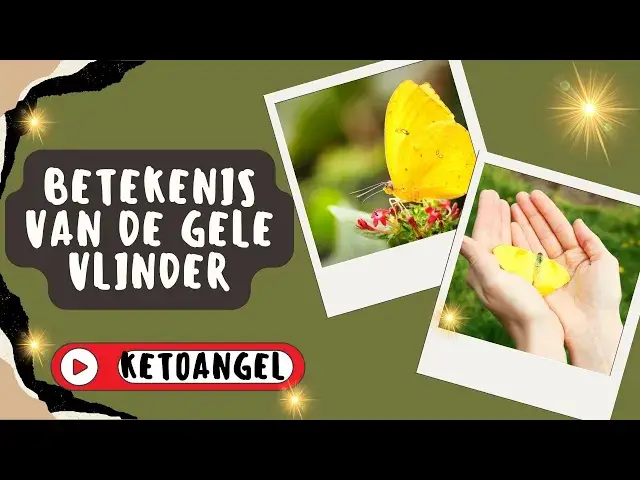 Video thumbnail for Betekenis van de Gele Vlinder in Dromen en Spirituele Interpretatie