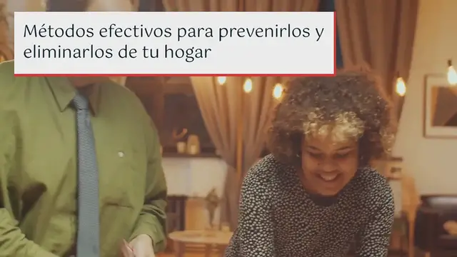 Video thumbnail for ¿Cómo deshacerse de los mosquitos? Métodos efectivos para prevenirlos y eliminarlos de tu hogar
