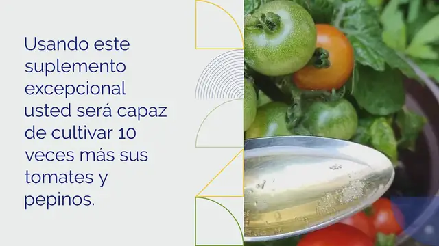Video thumbnail for Los tomates y pepinos crecerán 10 veces más rápido con este suplemento