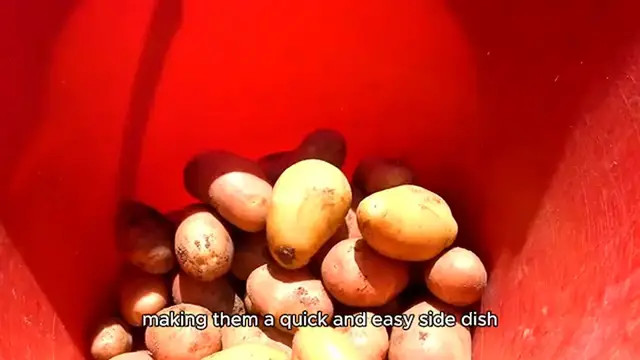 'Video thumbnail for Small Red Potatoes in the Air Fryer'