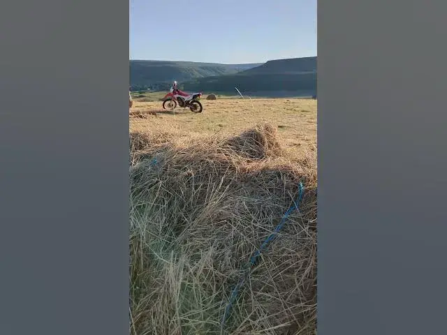 Video thumbnail for bales to bring in ASAP