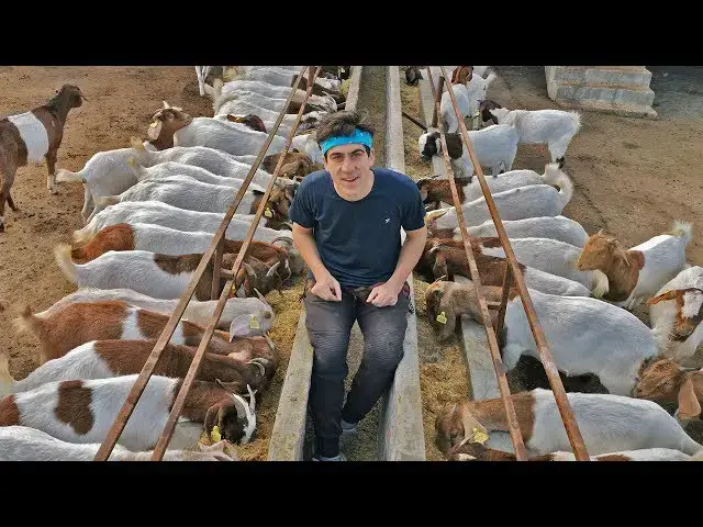 Video thumbnail for day in the life of a goat farmer in Nepal