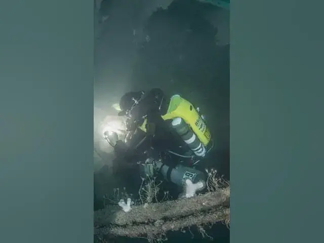 Video thumbnail for 100-Year-Old Coal Blocks Still Perfectly Stacked on Shipwreck #underwater #history #discovery