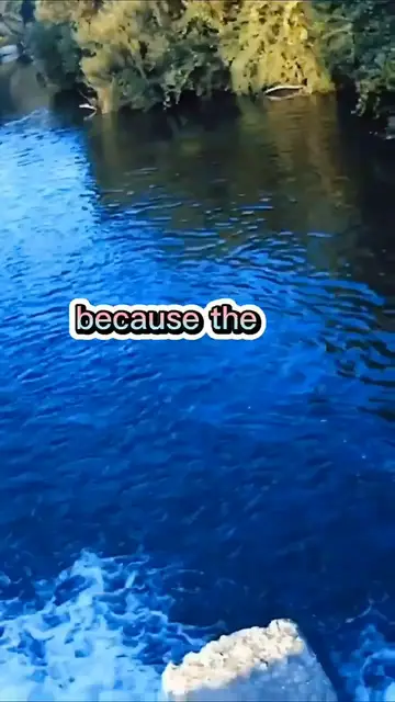 Video thumbnail for Fishing Joke 10 #jokes #fishingjokes #humor