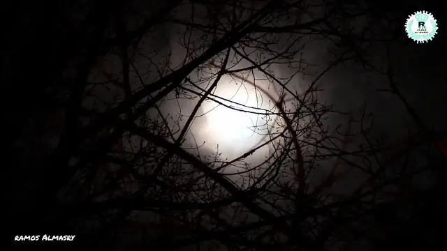 Video thumbnail for وكان الإنسان عجولا- سورة الاسراء- القطامي